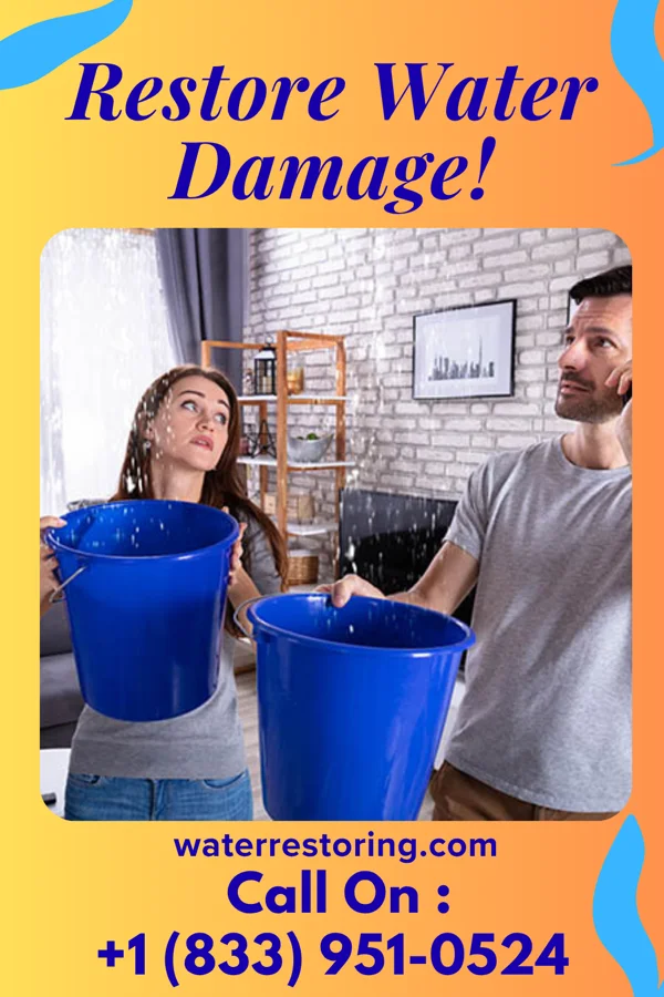 water restoration Apex Property Restoration Brothers Hailesboro